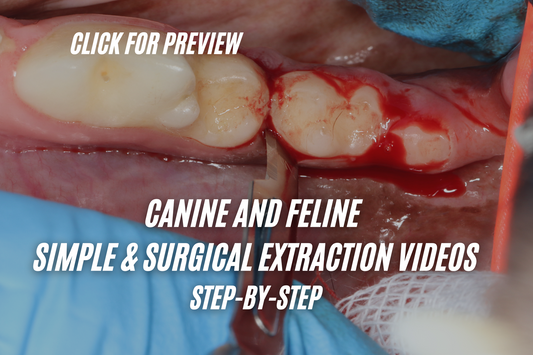 CANINE AND FELINE  SIMPLE & SURGICAL EXTRACTION VIDEOS STEP-BY-STEP