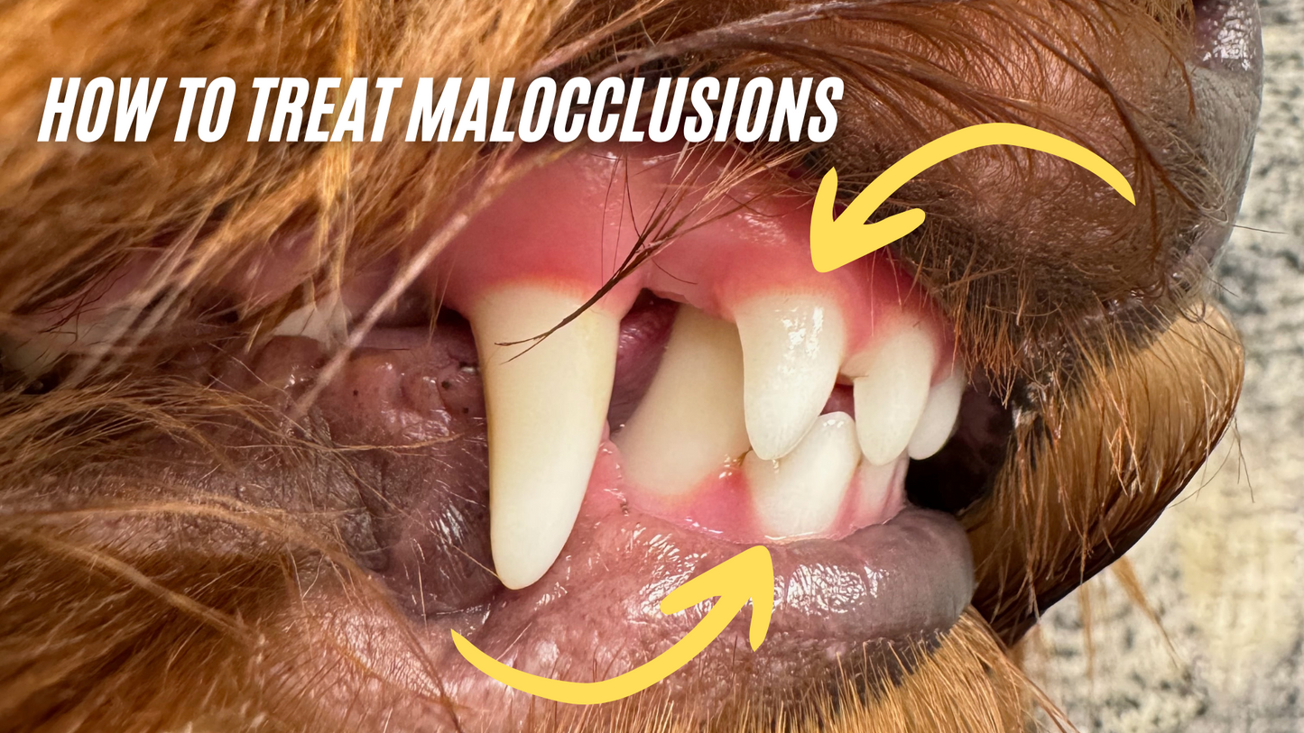 How to treat malocclusions in general practice