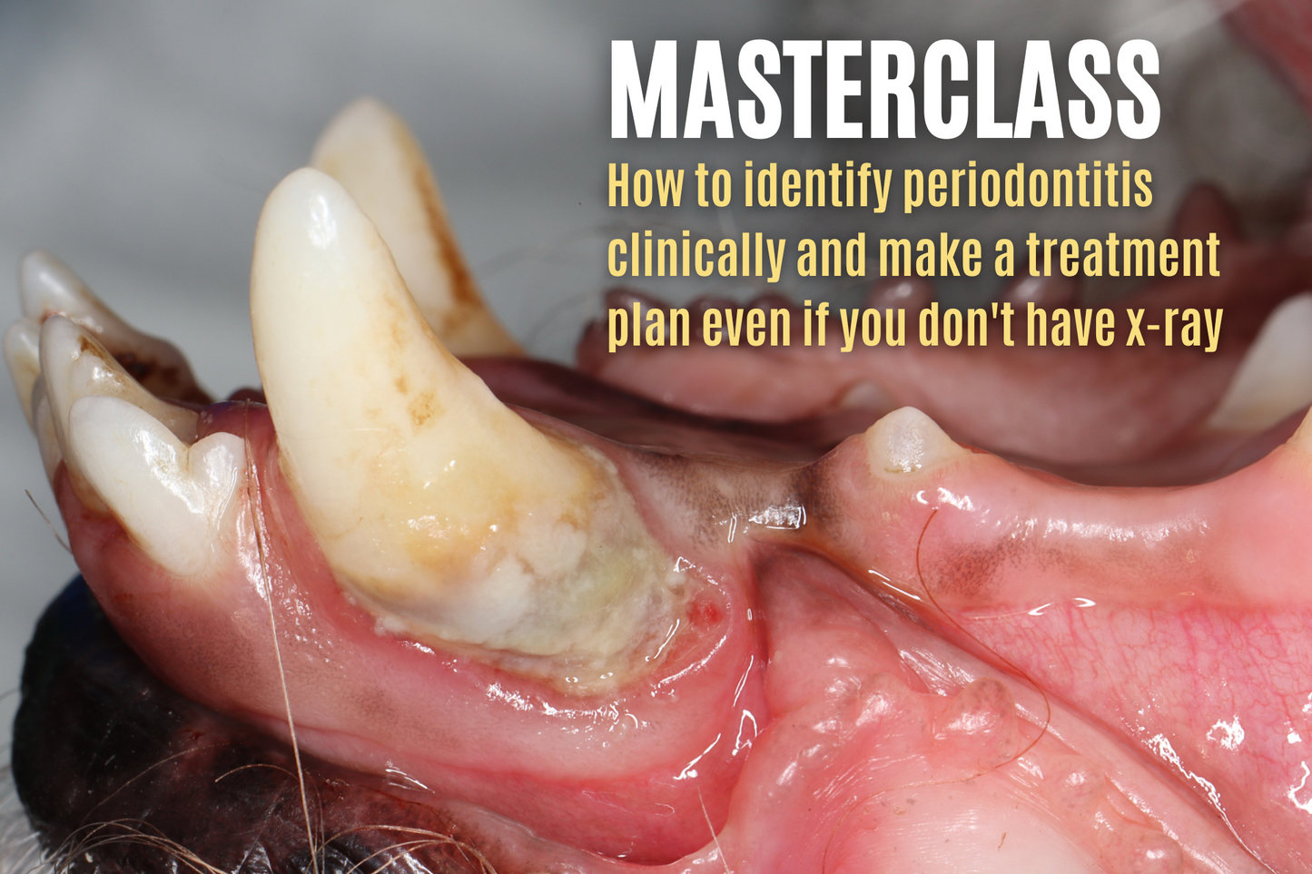 Radiographic and Clinical Interpretation of Periodontitis - Should I extract this tooth or not?