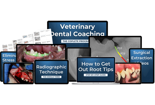 Dental Coaching Program
