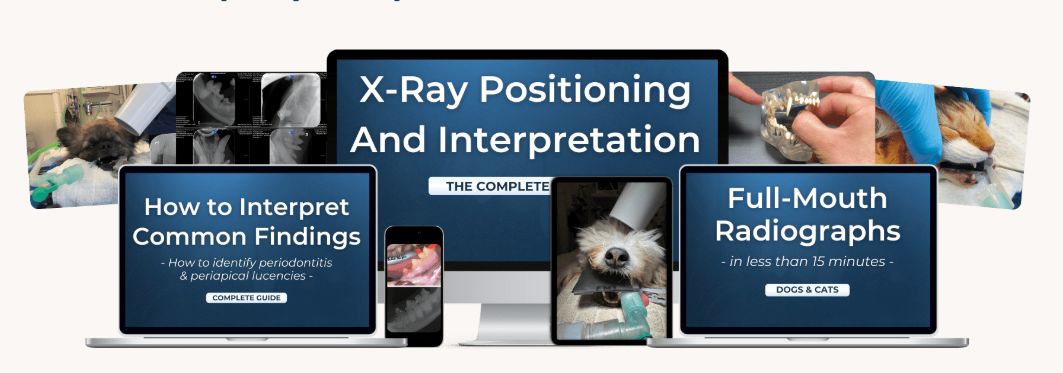 How To Do Full-Mouth Xray in 10 Minutes and Interpret What You Find