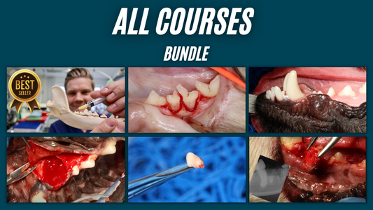 Go ALL IN - Get the entire set of masterclasses at a discount